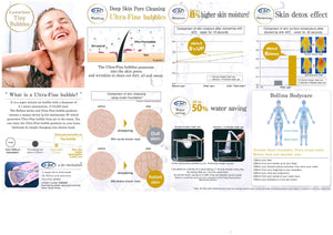 Bolina pulito shower head information brochure